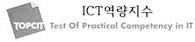 TOPCIT ICT역량지수 Test Of Practical Competency in IT